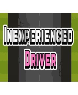 Inexperienced Driver Steam Key GLOBAL